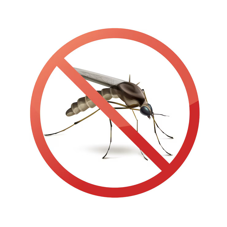 Mosquito Control Services